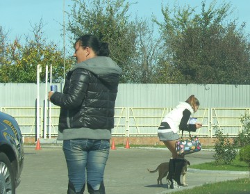 Proxeneţii care asigurau plăcerile marinarilor, în faţa judecătorilor